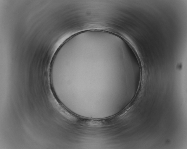 X0000115361291200911241207