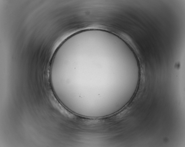 X0000115361292200911241207
