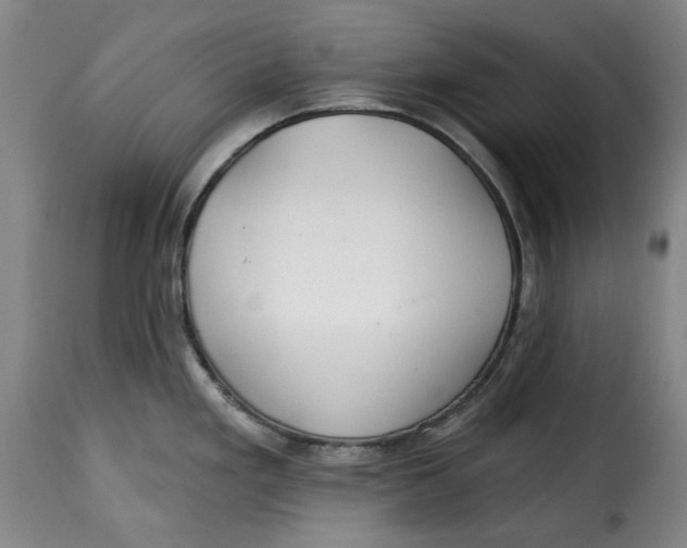 X0000115361293200911241207