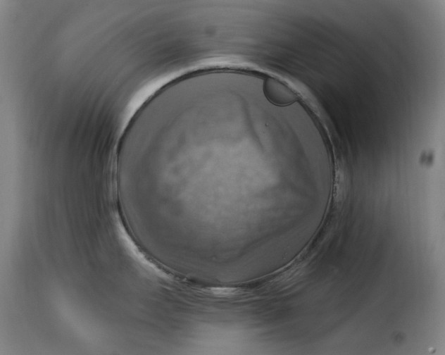 X0000115361295200911241207