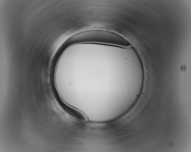 X0000115361296200911241207