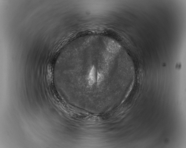 X0000115361298200911241207