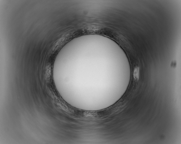 X0000115361299200911241207