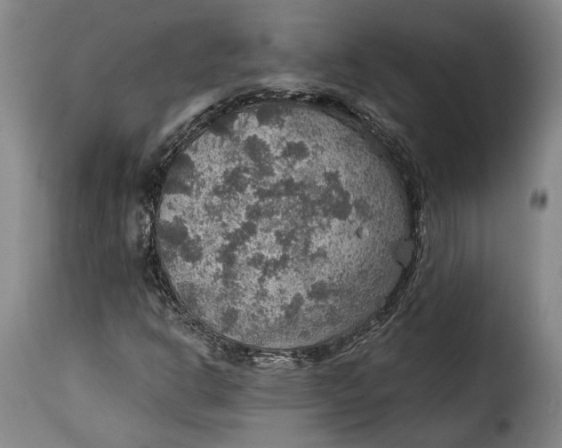X0000115361302200911241207