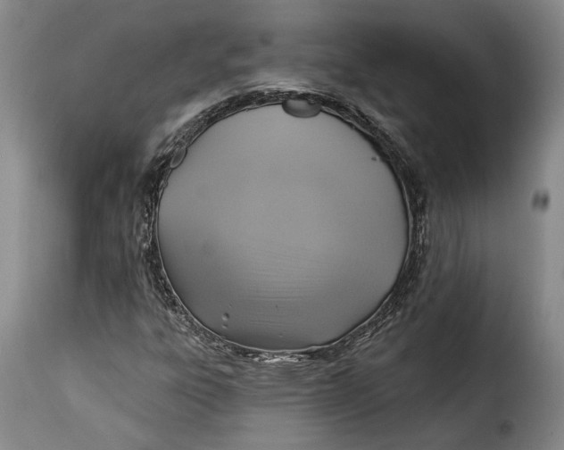 X0000115361303200911241207