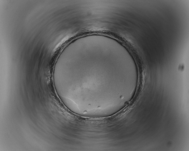 X0000115361306200911241207