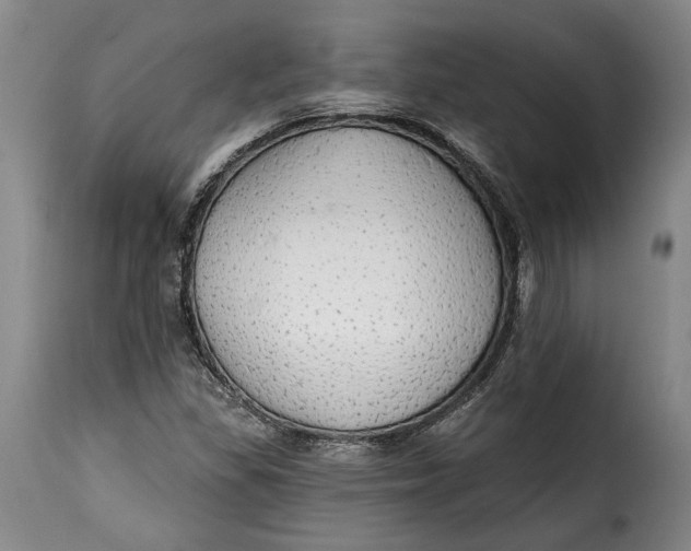 X0000115361309200911241207