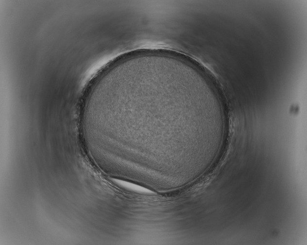 X0000115361311200911241207