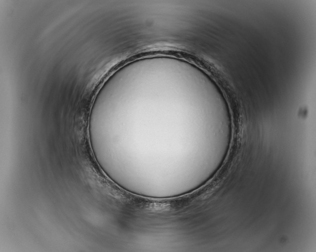 X0000115361313200911241207