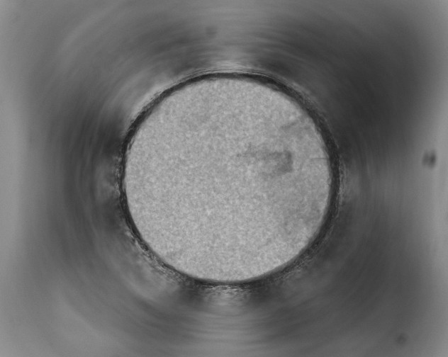 X0000115361314200911241207