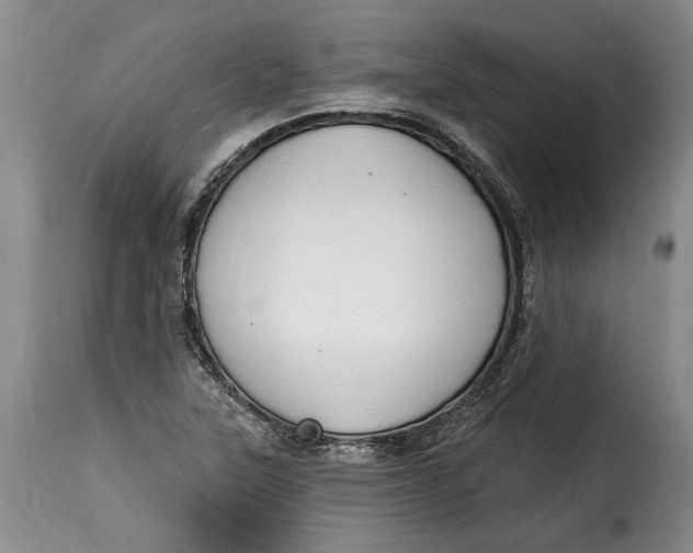 X0000115361315200911241207
