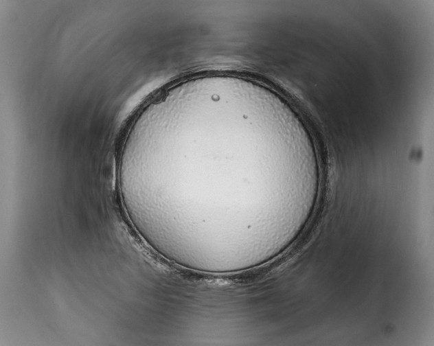 X0000115361317200911241207