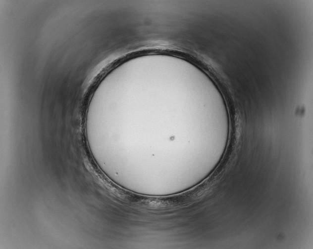X0000115361318200911241207