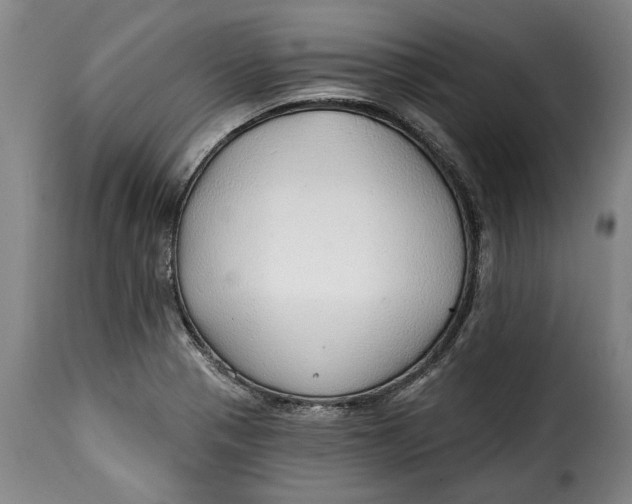 X0000115361321200911241207