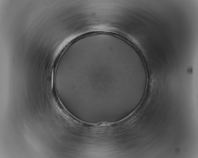 X0000115361323200911241207
