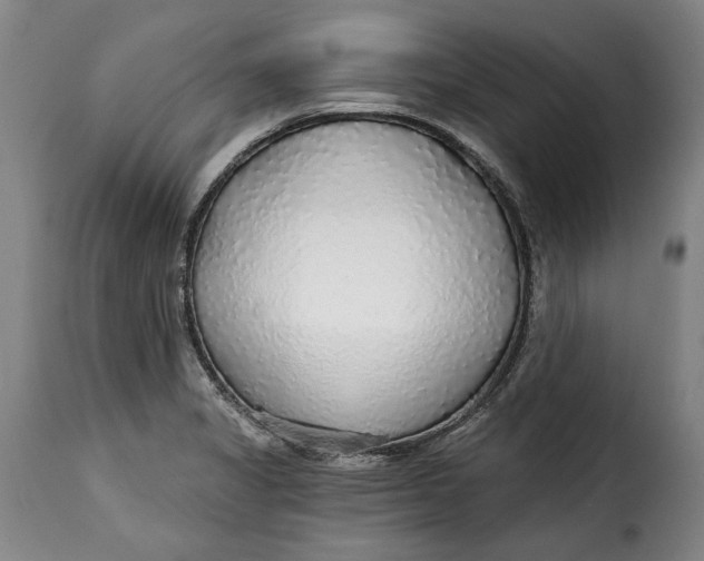 X0000115361325200911241207