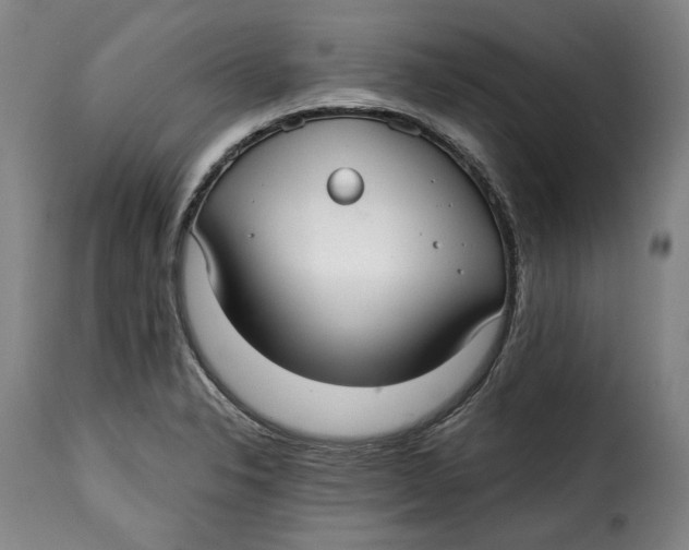 X0000115361326200911241207