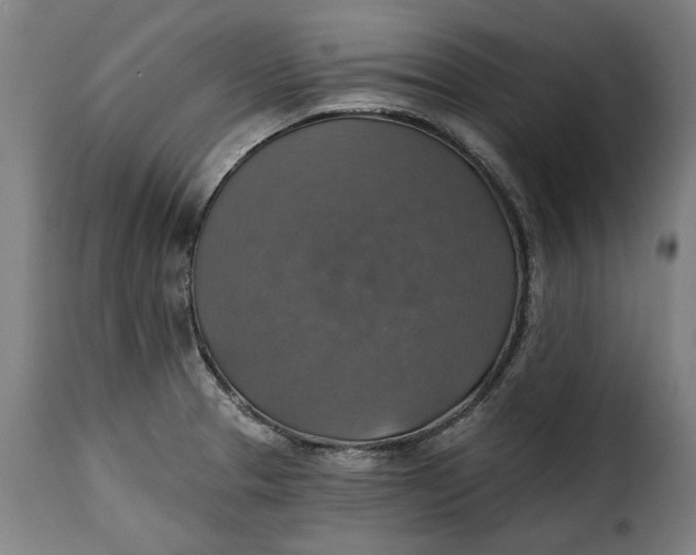 X0000115361329200911241207
