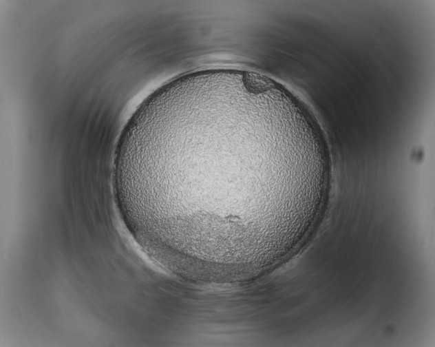 X0000115361333200911241207
