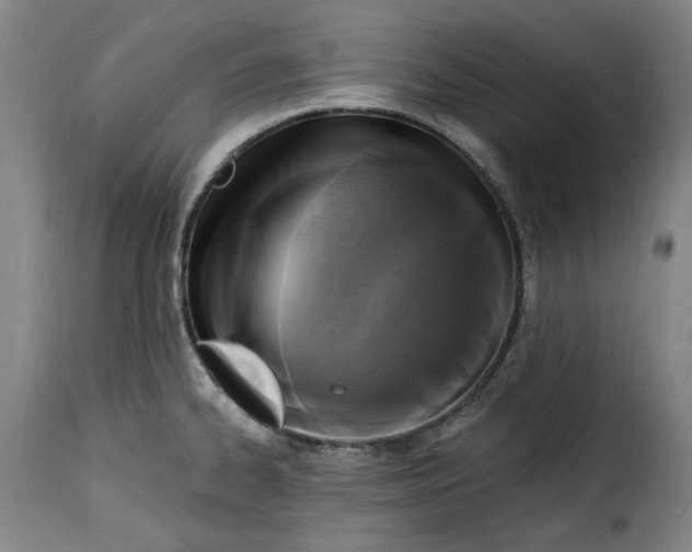 X0000115361334200911241207