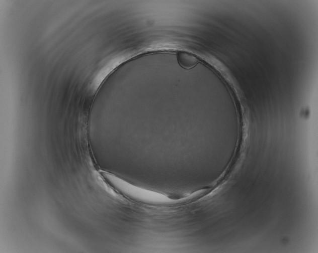 X0000115361337200911241207