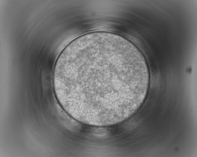 X0000115361338200911241207