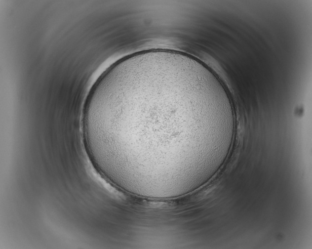 X0000115361339200911241207