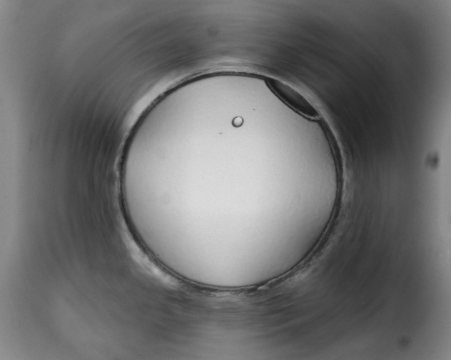 X0000115361341200911241207