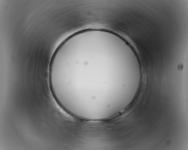 X0000115361343200911241207