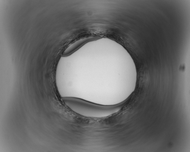 X0000115361345200911241207