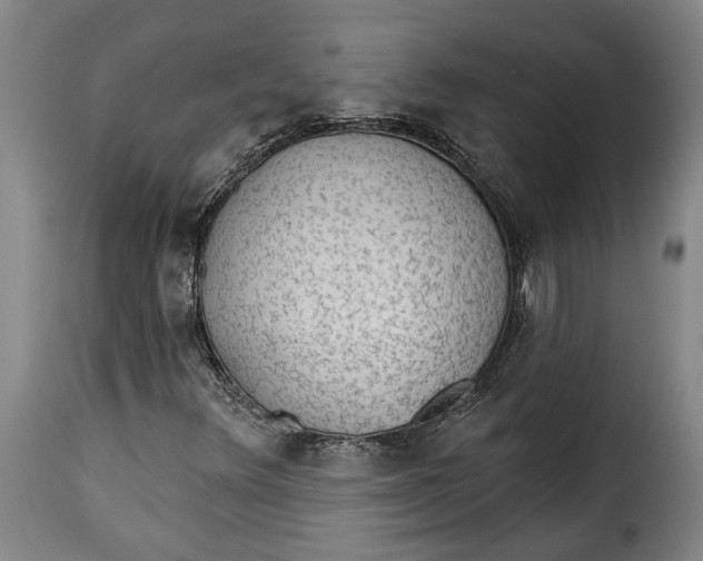 X0000115361348200911241206