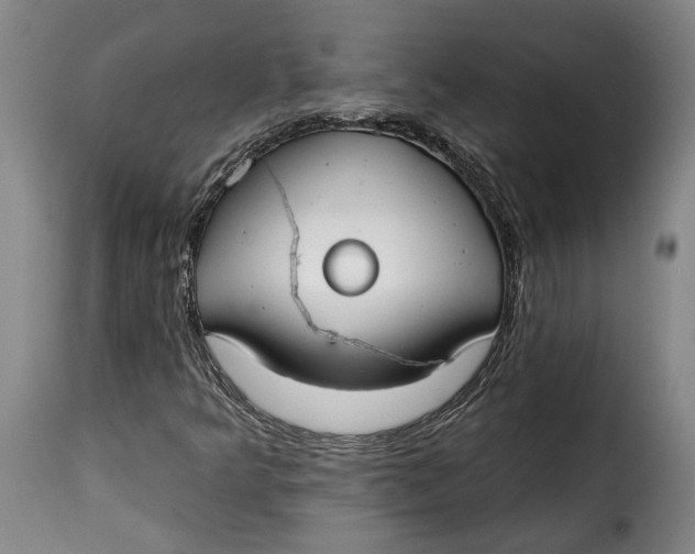 X0000115361349200911241206