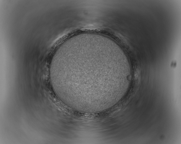 X0000115361350200911241206