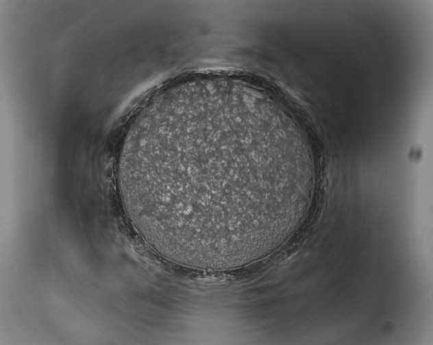X0000115361351200911241206