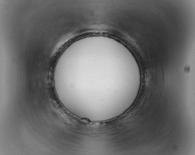 X0000115361352200911241206