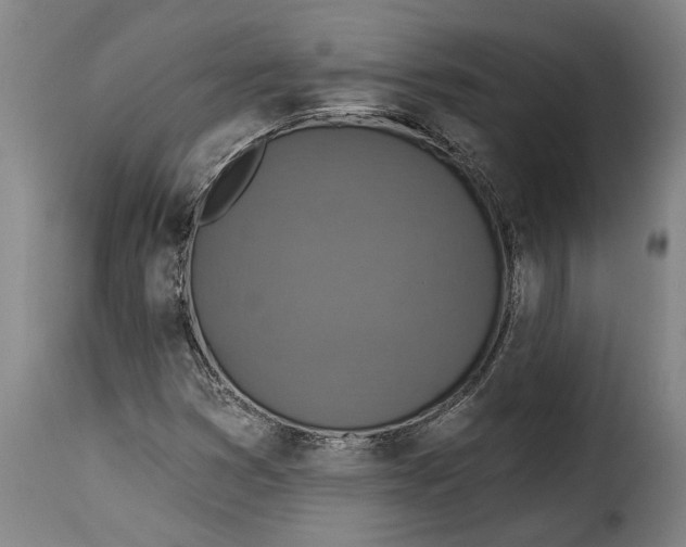 X0000115361353200911241206