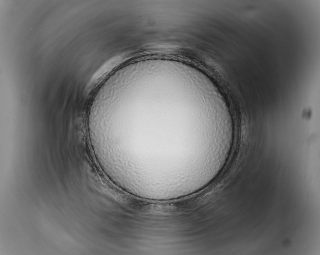 X0000115361354200911241206