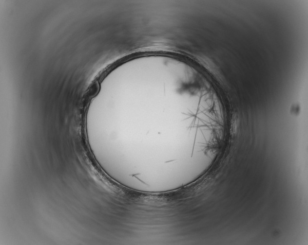 X0000115361356200911241206