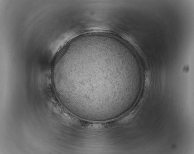 X0000115361357200911241206