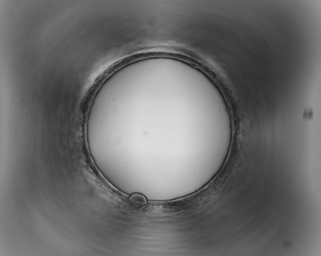 X0000115361360200911241206
