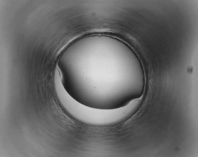 X0000115361361200911241206