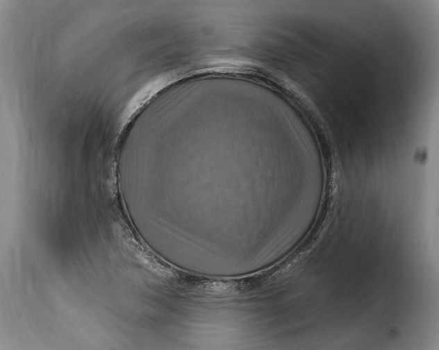 X0000115361362200911241206
