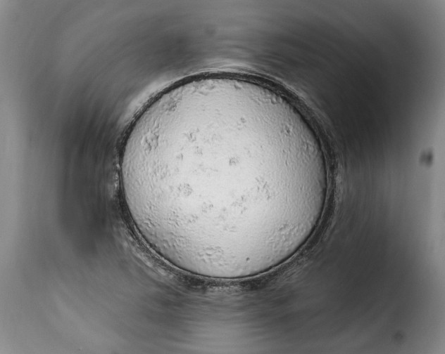 X0000115361363200911241206