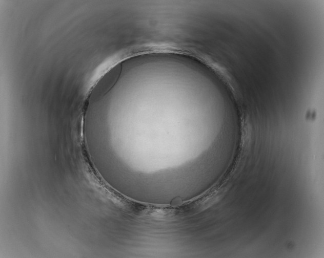 X0000115361365200911241206