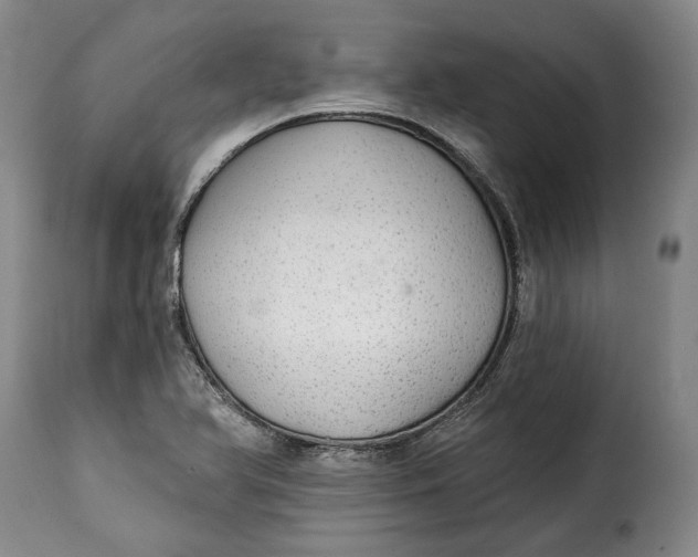 X0000115361366200911241206
