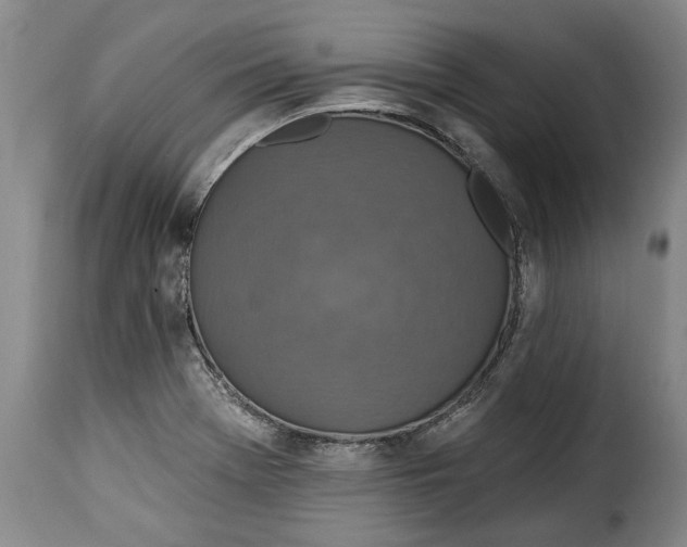 X0000115361369200911241206