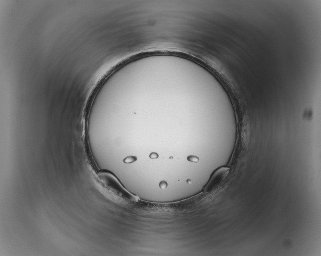 X0000115361372200911241206