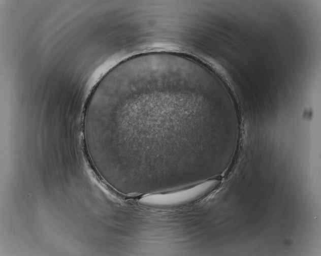 X0000115361373200911241206