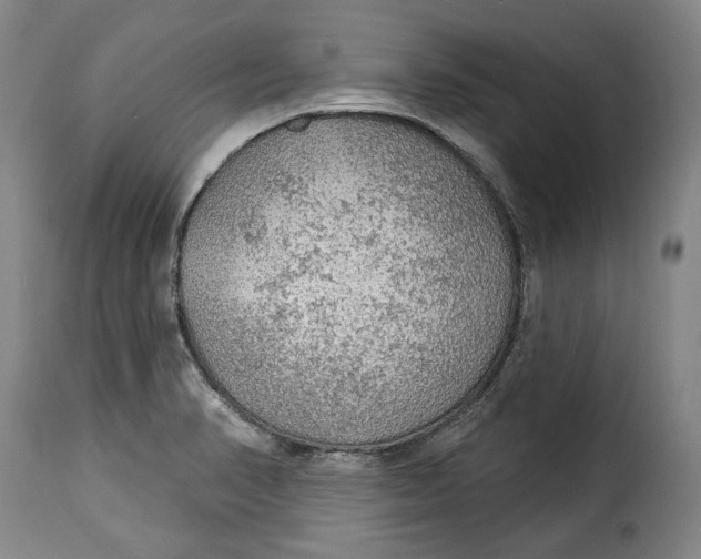 X0000115361374200911241206