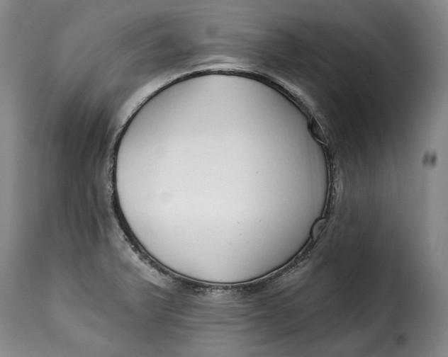 X0000115361375200911241206
